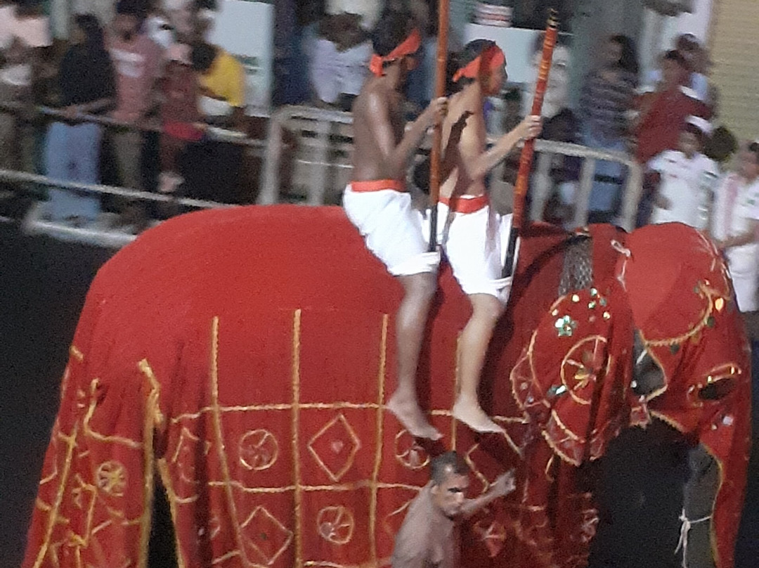 One Lanka Tours景点图片