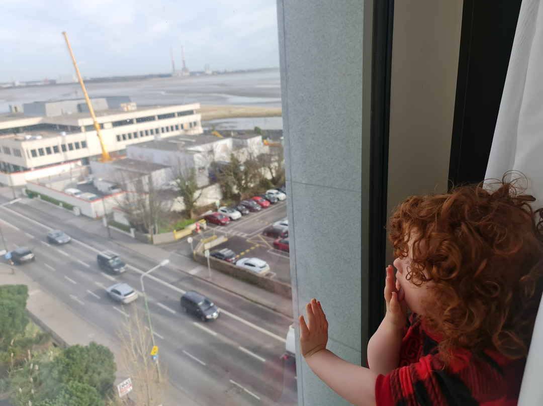 Maldron Hotel Merrion Road主图