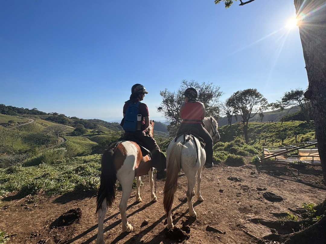 Monteverde Extremo Park-圣埃伦娜必去景点