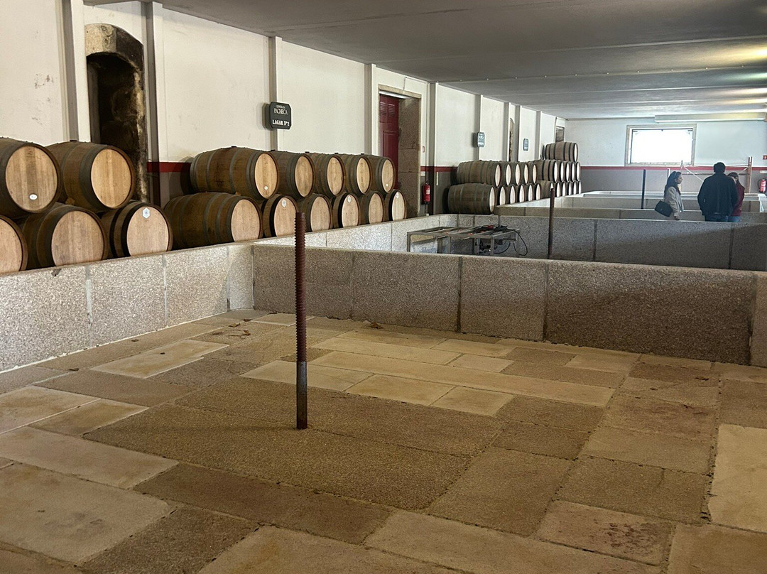 DWT - Douro Wine Tours-波尔图必去景点