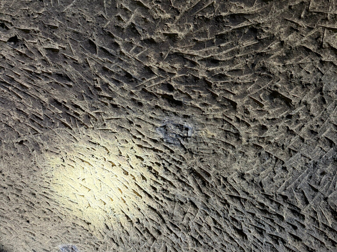 Schramsberg Vineyards-卡利斯托加必去景点