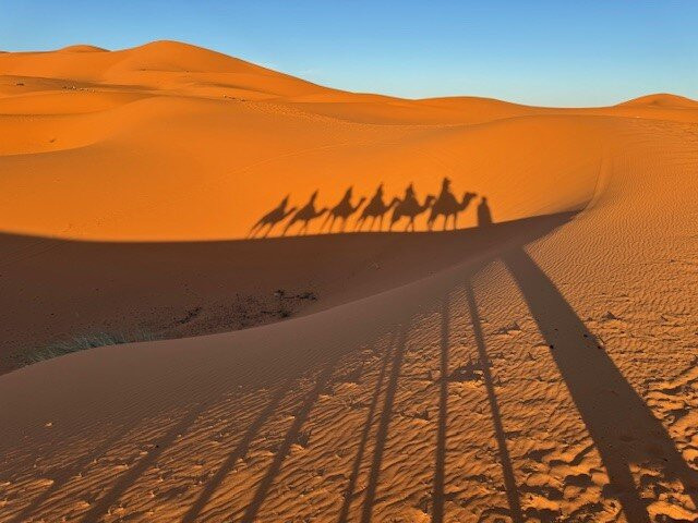 Morocco Desert Adventures景点图片