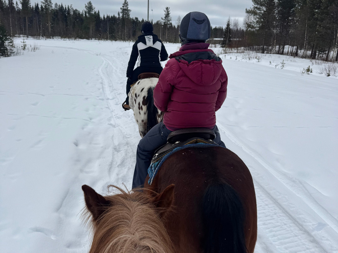 Lucky Ranch-Pyhatunturi必去景点