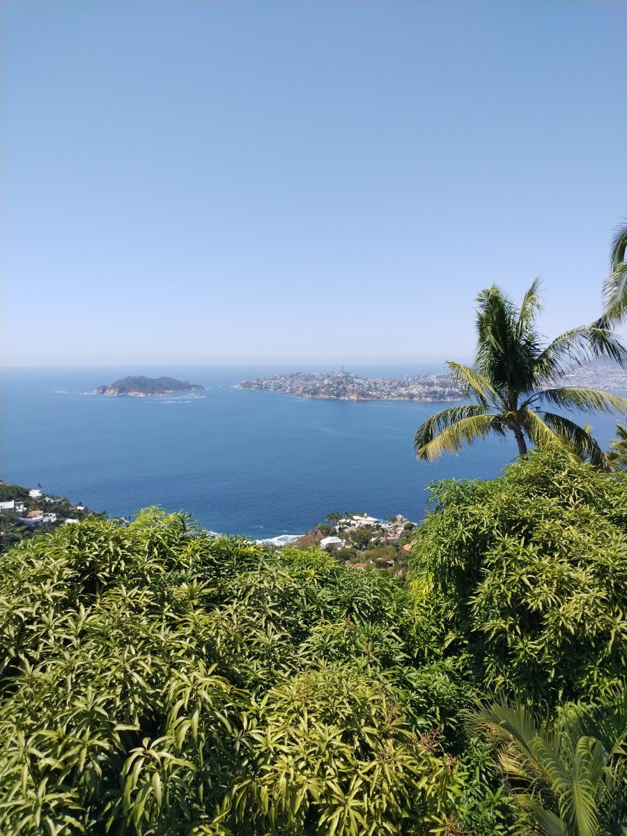 拉斯萨斯阿卡普尔科酒店-酒店景观