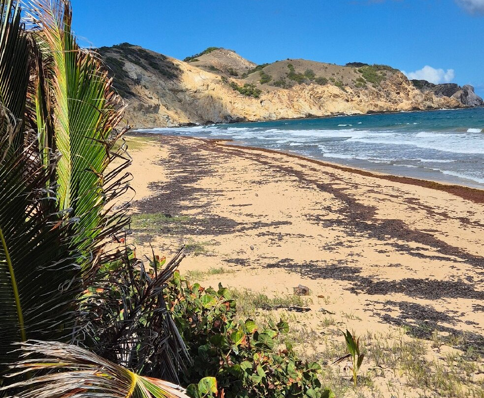 Hotel Bois Joli主图