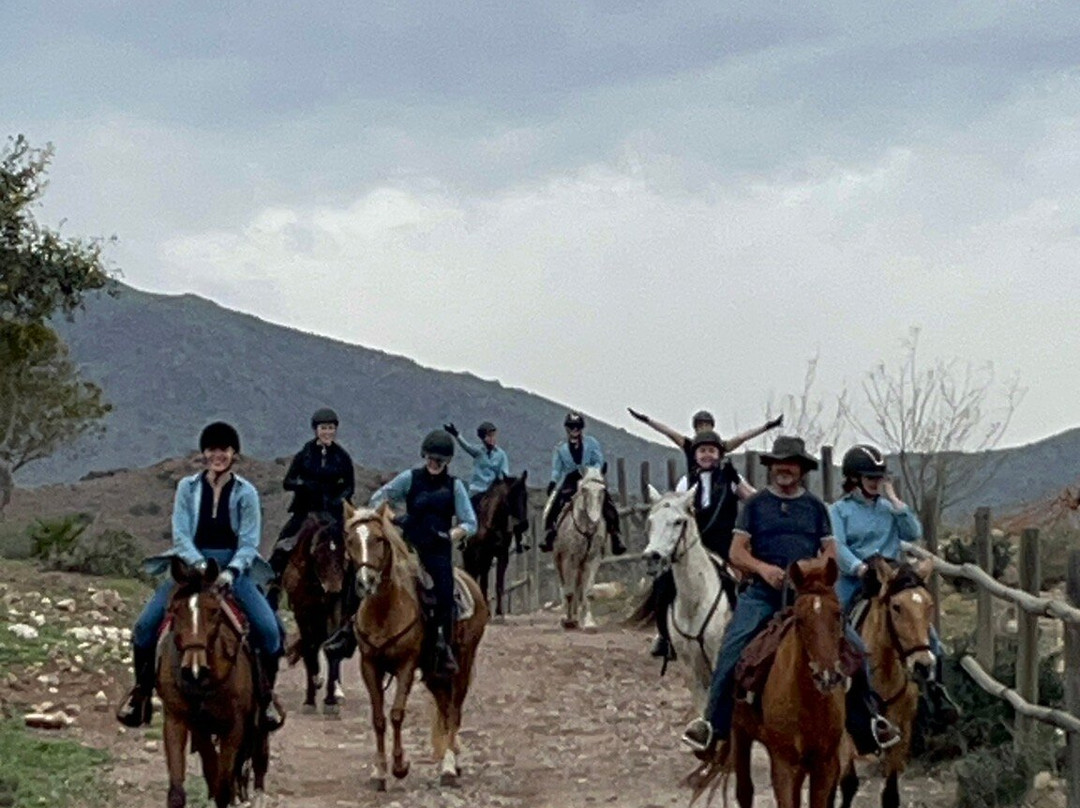 Cabacci Horse Trails景点图片