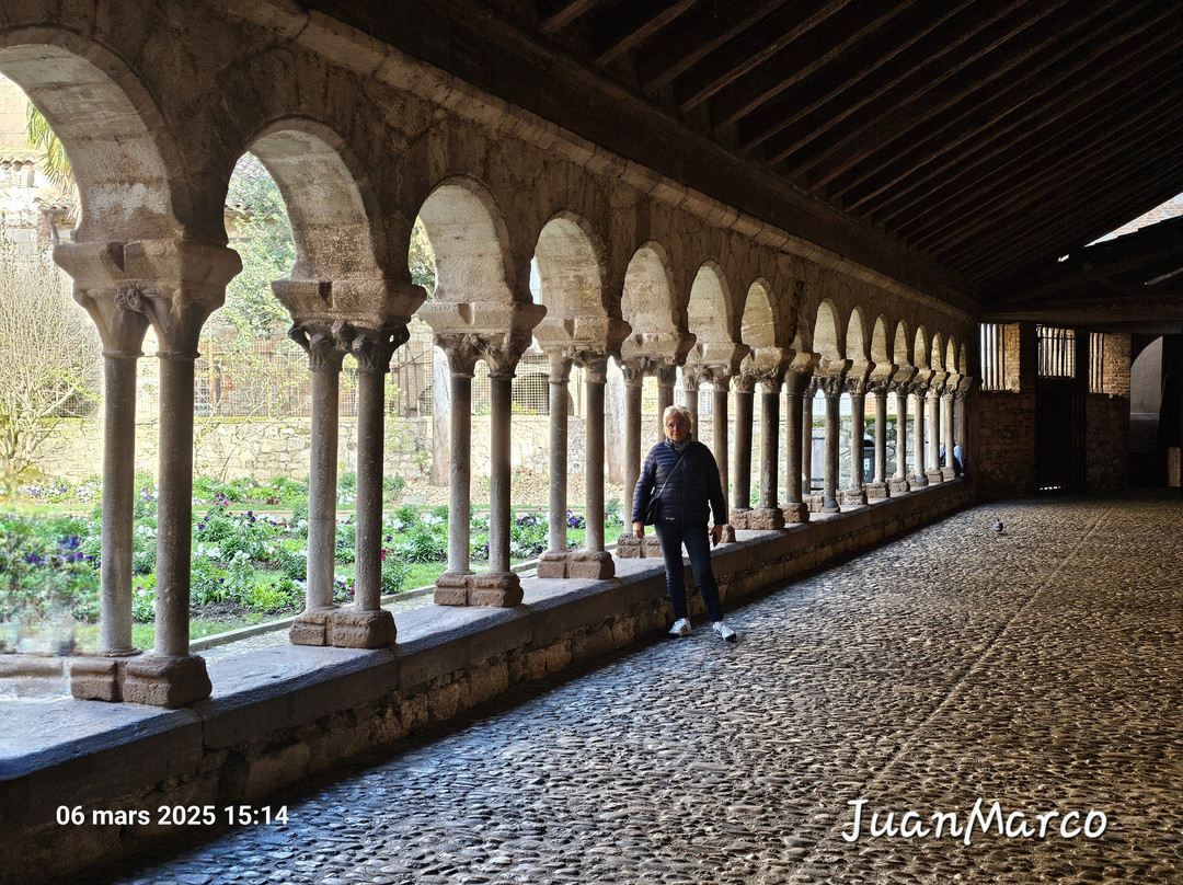 Cloitre de la Collegiale Saint Salvy-阿尔比必去景点