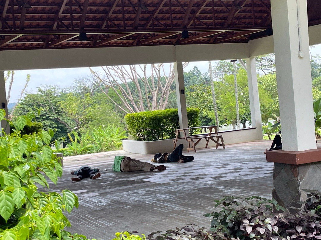 Putrajaya Botanical Garden-太子城必去景点