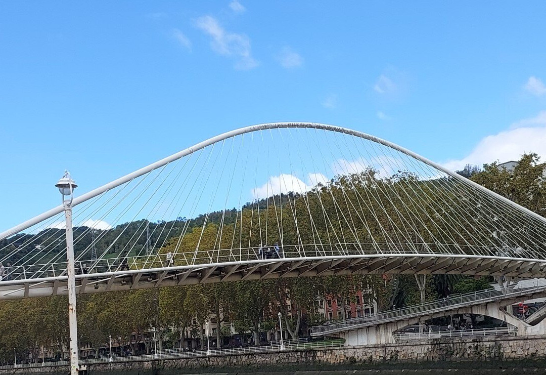 Puente Zubizuri景点图片