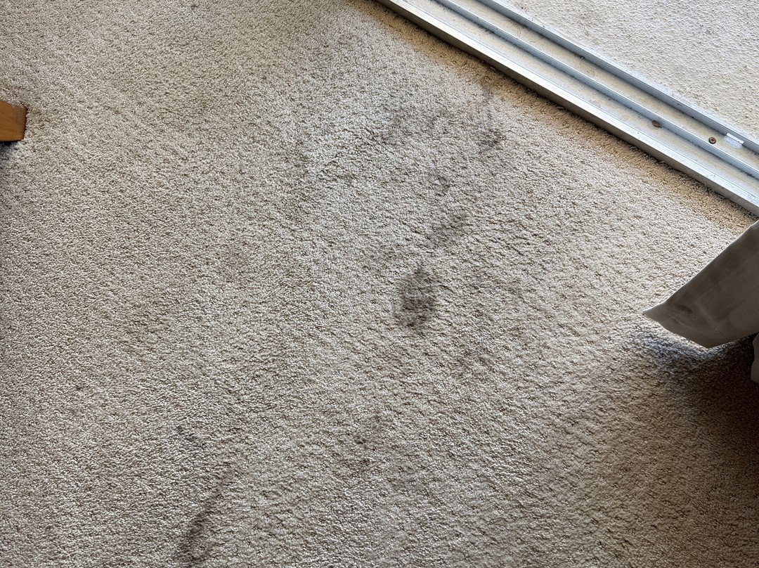 奥兰多团圆度假村主图