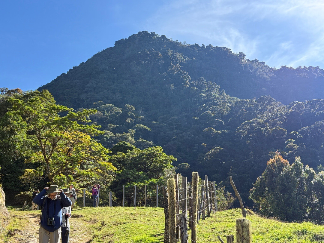 Mount Totumas Cloud Forest主图