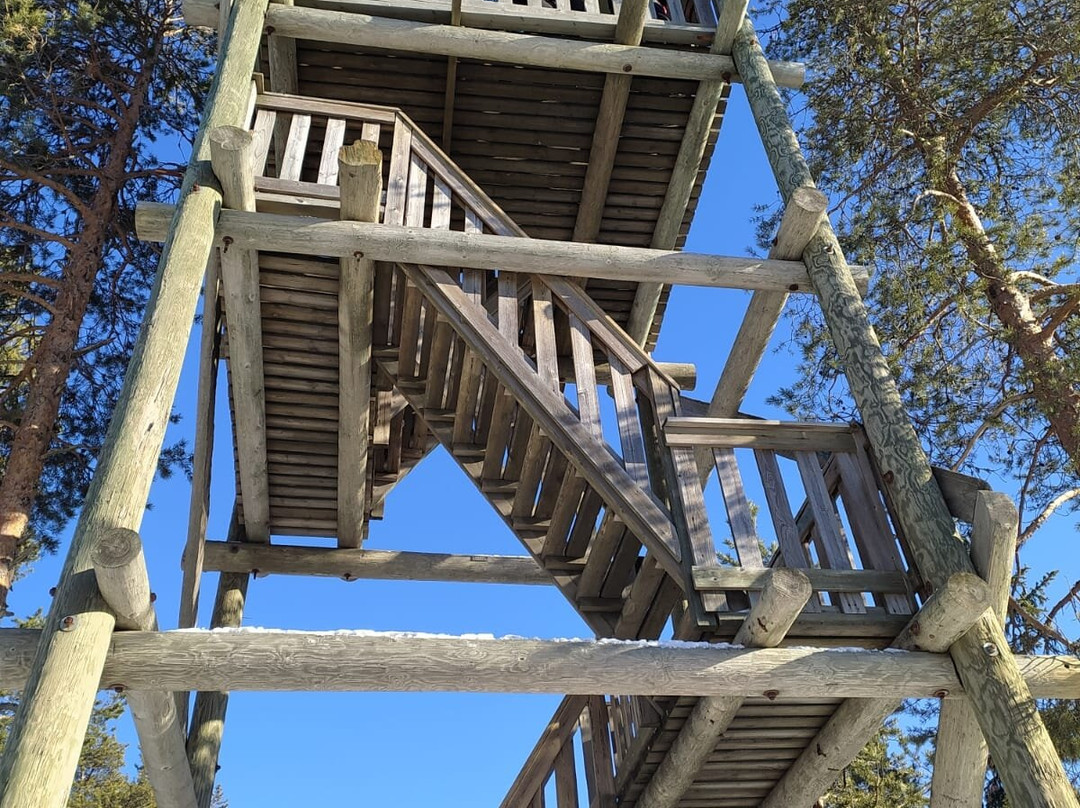 Ounasvaara Winter Trail-罗瓦涅米必去景点