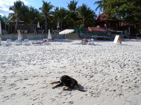 苏梅岛第一酒店主图