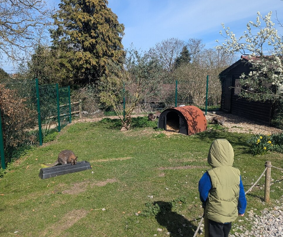 Lee Valley Animal Adventure Park景点图片