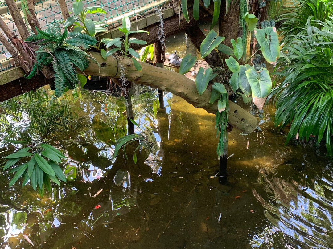 Plantasia Tropical Zoo景点图片