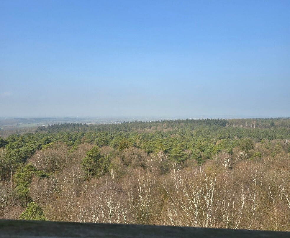 Uitkijktoren Hulzenberg-Beek Gem Montferland必去景点