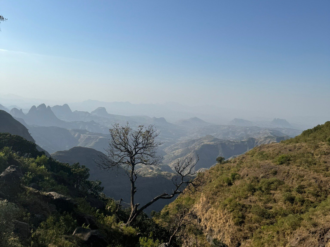 Simien Mountain Tours景点图片