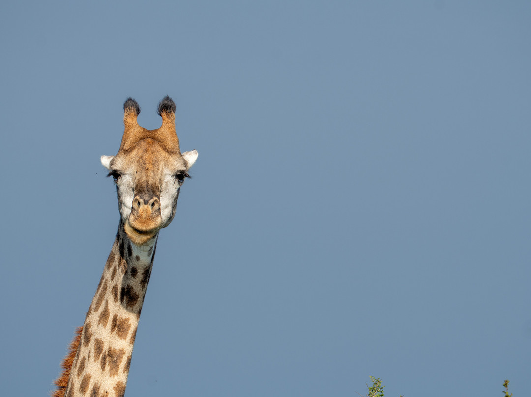 Afrika 24 Reisen-开普敦必去景点