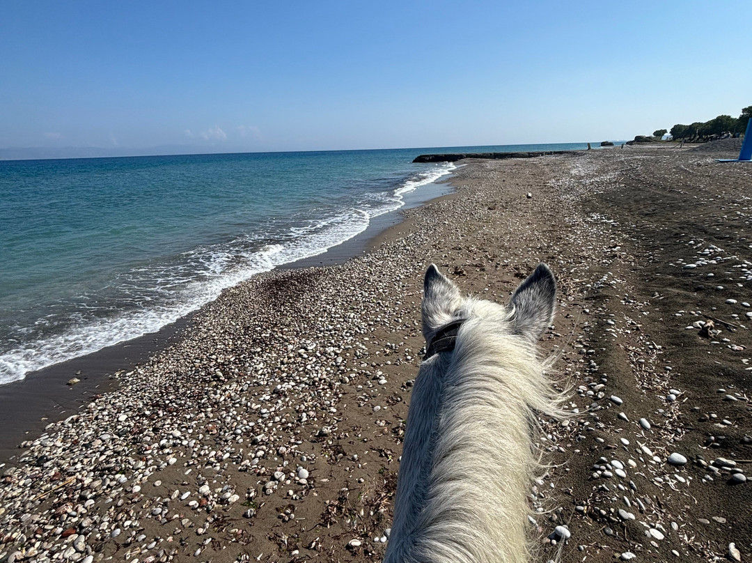 NiVa Ranch Rhodes-Kremasti必去景点