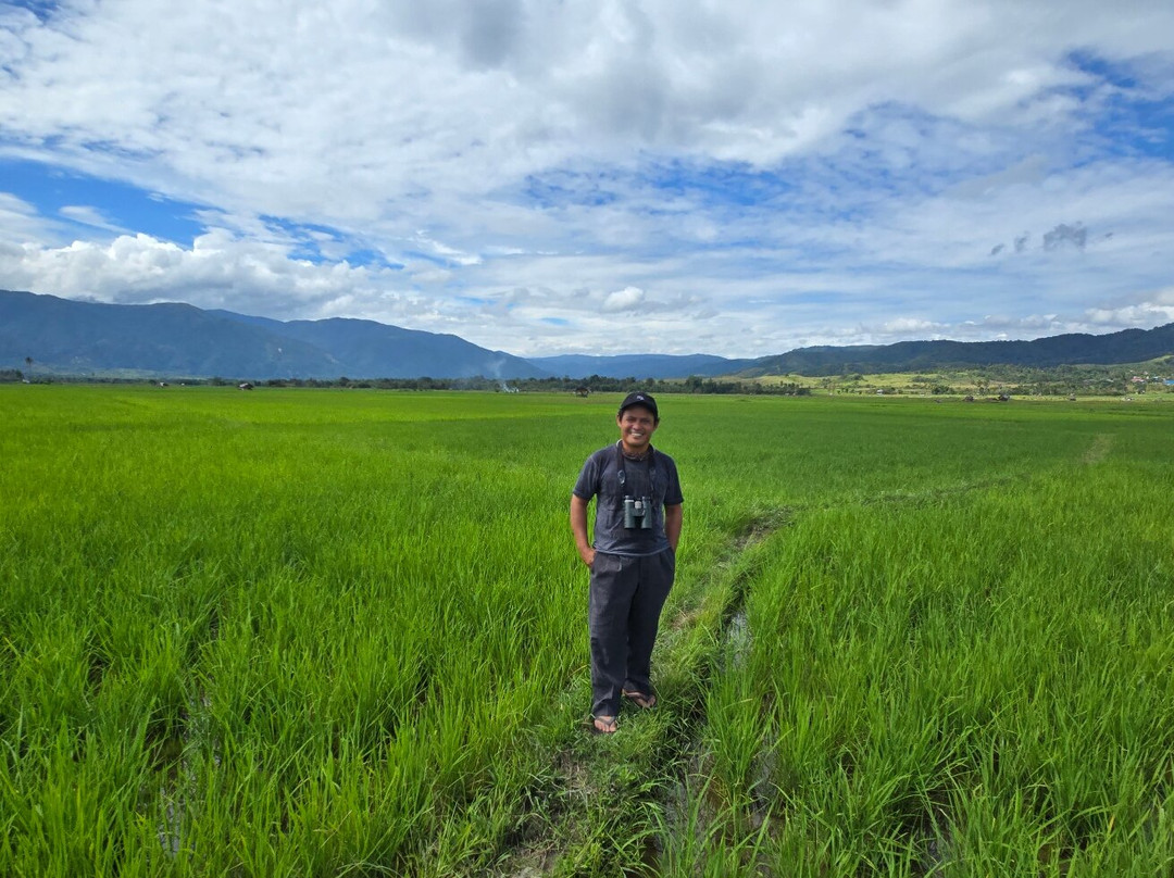 Tentena wildlife tour and Lorelindu national park景点图片