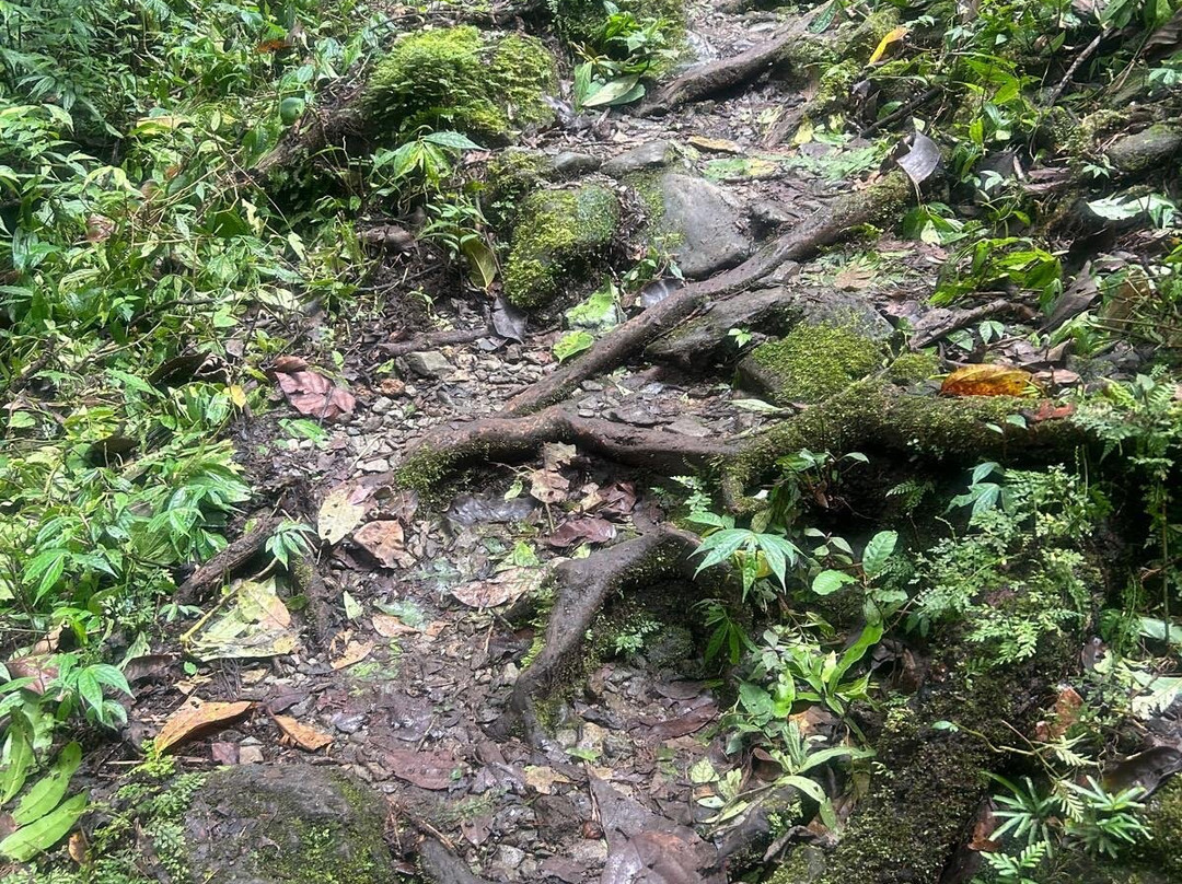 Our Spirit Adventures-伯利角必去景点