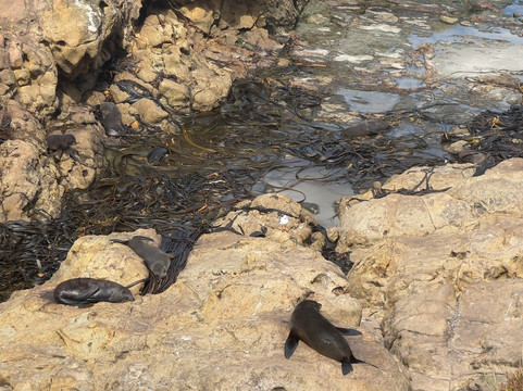 Stevong Travel-奥克兰中心地区必去景点