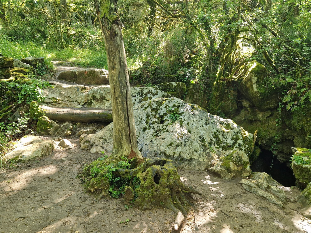 Bois de Païolive-Les Vans必去景点