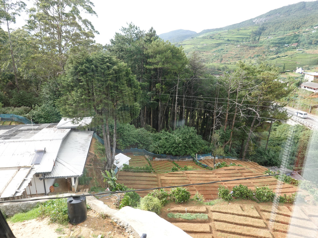 CheRiz Boutique Villa Hotel主图