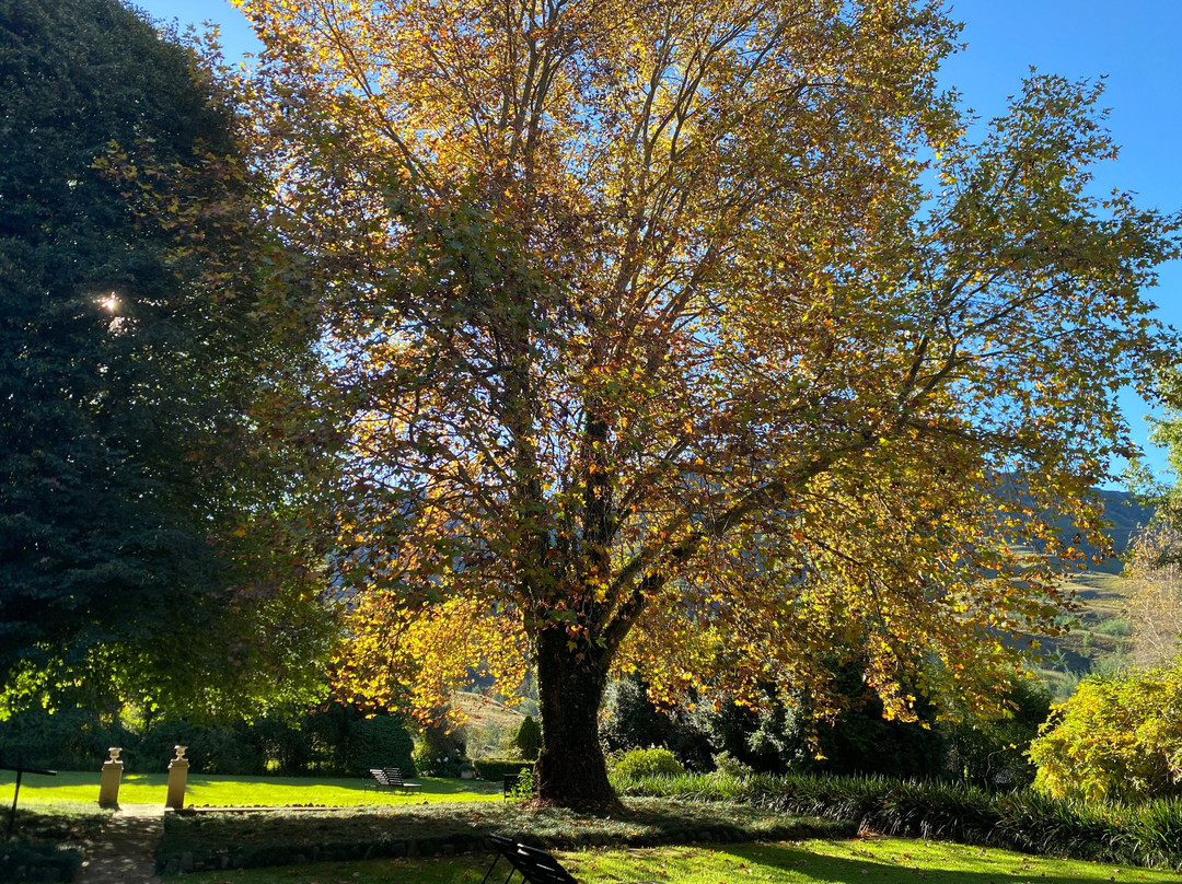 Cleopatra Mountain Farmhouse主图