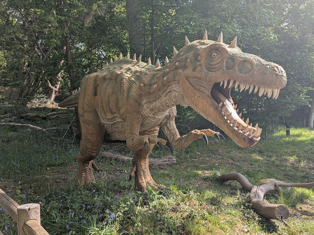 ROARR!景点图片