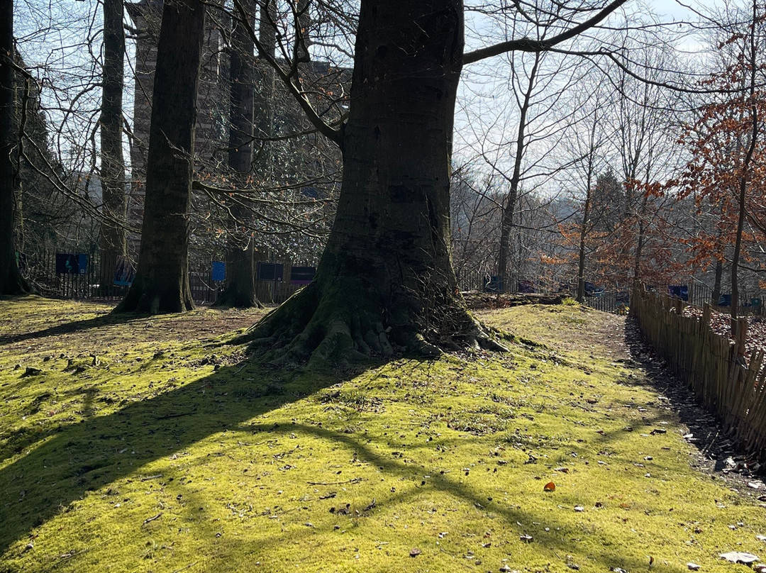 Parc Tournay Solvay-Watermael-Boitsfort必去景点