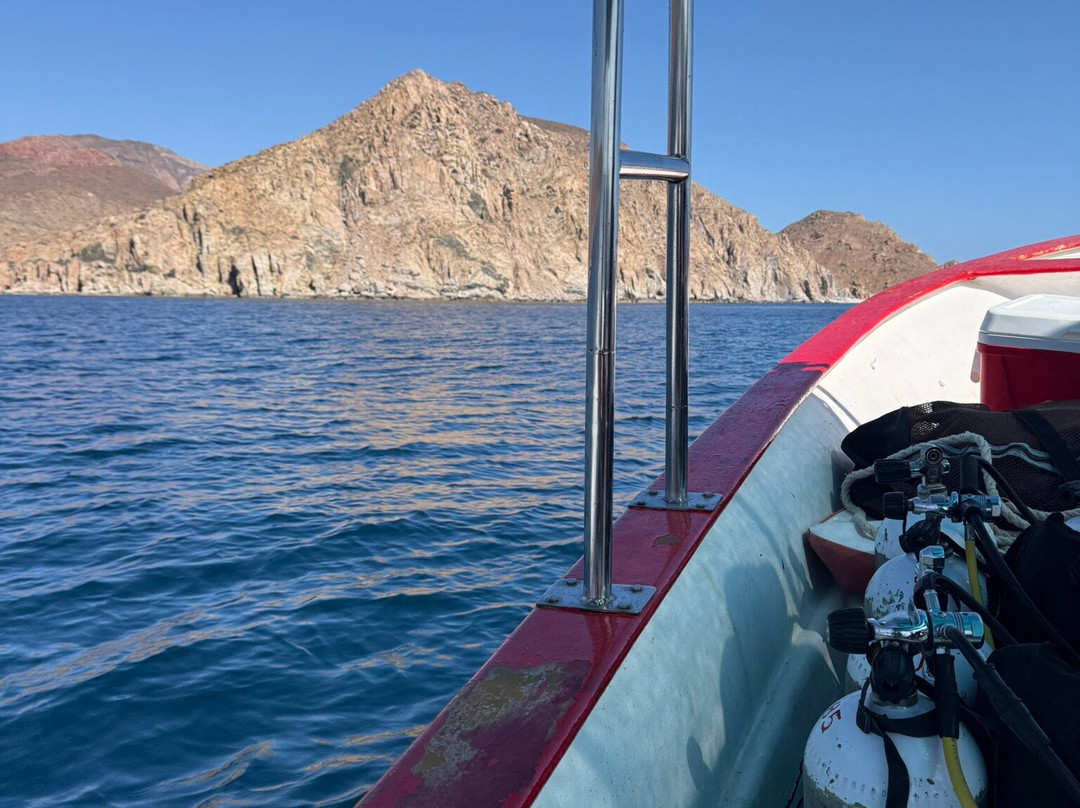 Dive in la Paz-拉巴斯必去景点