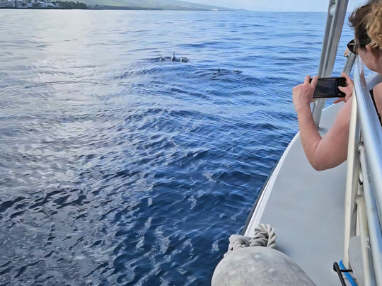 Alii Ocean Tours-凯鲁瓦-柯纳必去景点