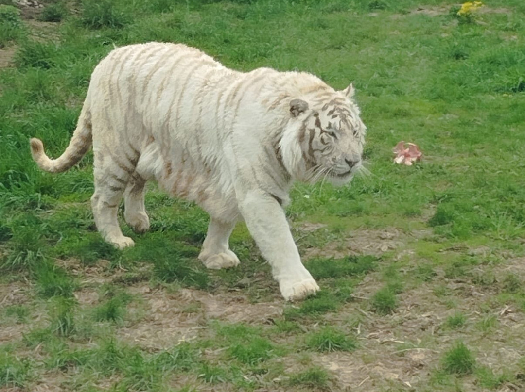 Eco Park Biosphere-卡卢加必去景点