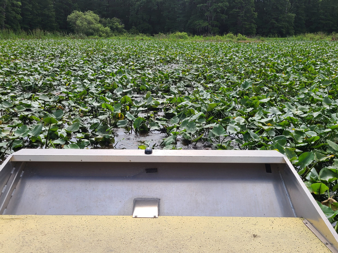 Alligator's Unlimited  Airboat Nature Tours-莱克威尔士必去景点