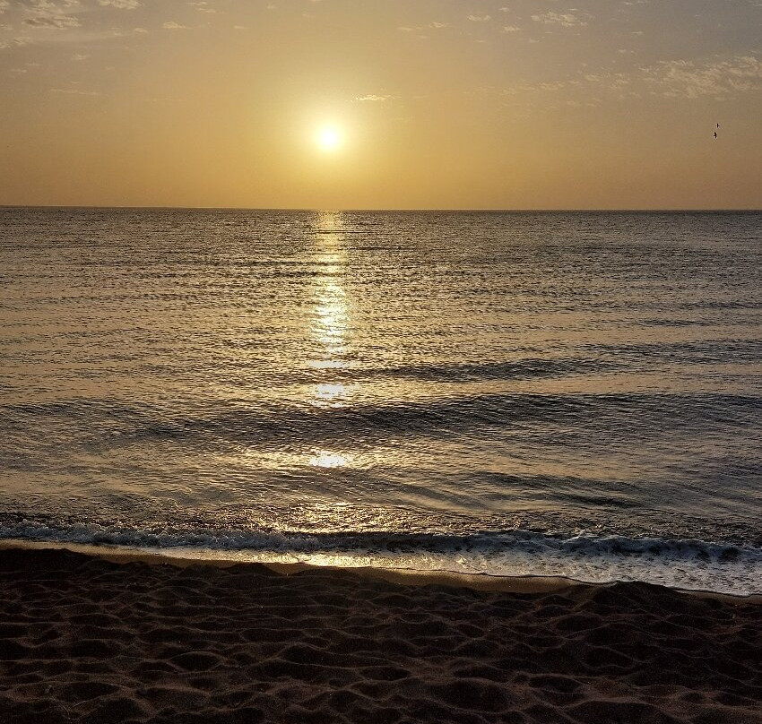 Anaxos Gardens主图