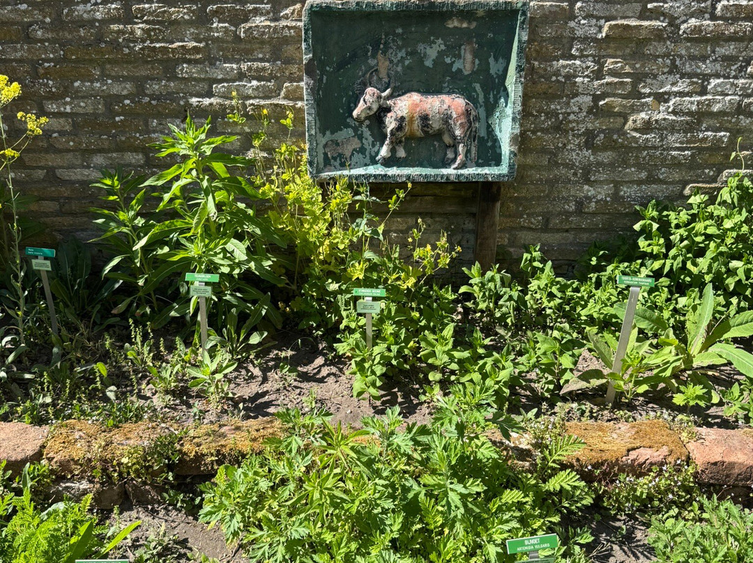 Oudheidkamer Texel-登堡必去景点