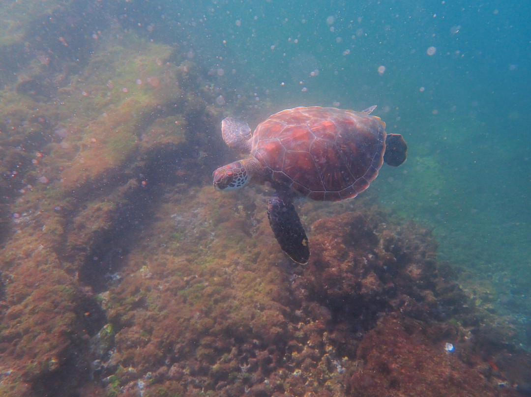 Fragata Yacht-Baltra必去景点