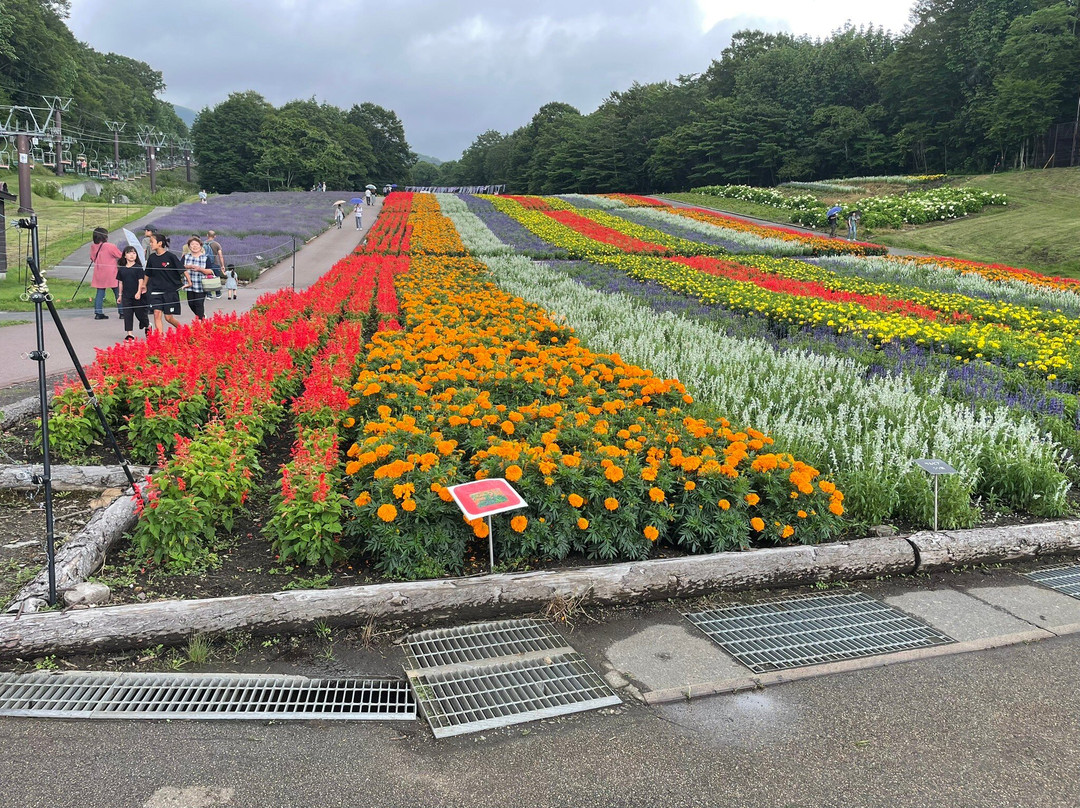 Tambara Lavender Park-沼田市必去景点