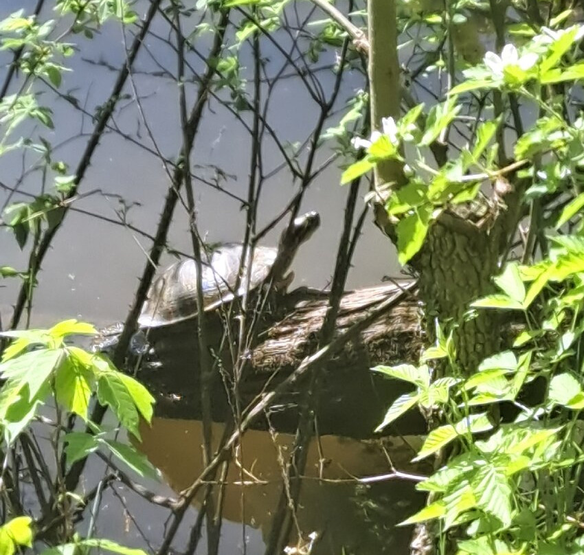 Shakamak State Park-Jasonville必去景点