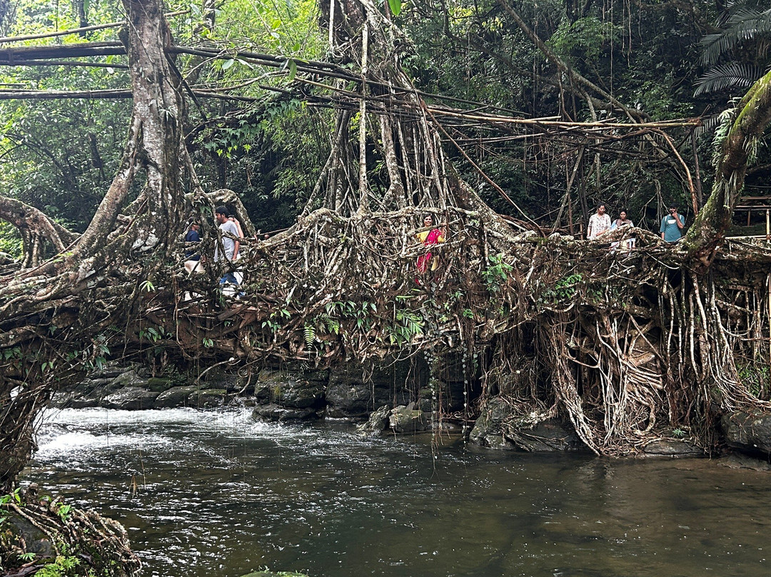 Riwai Living Root Bridge景点图片