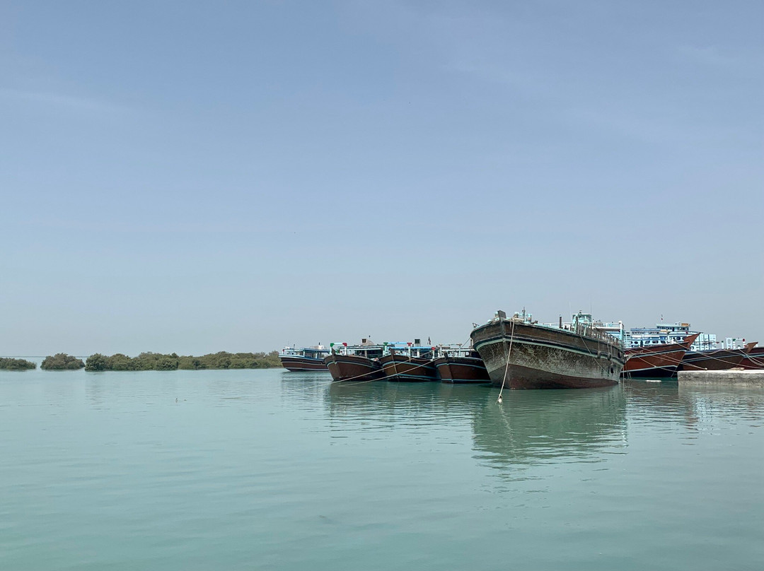 Mangrove Forests of Qeshm景点图片