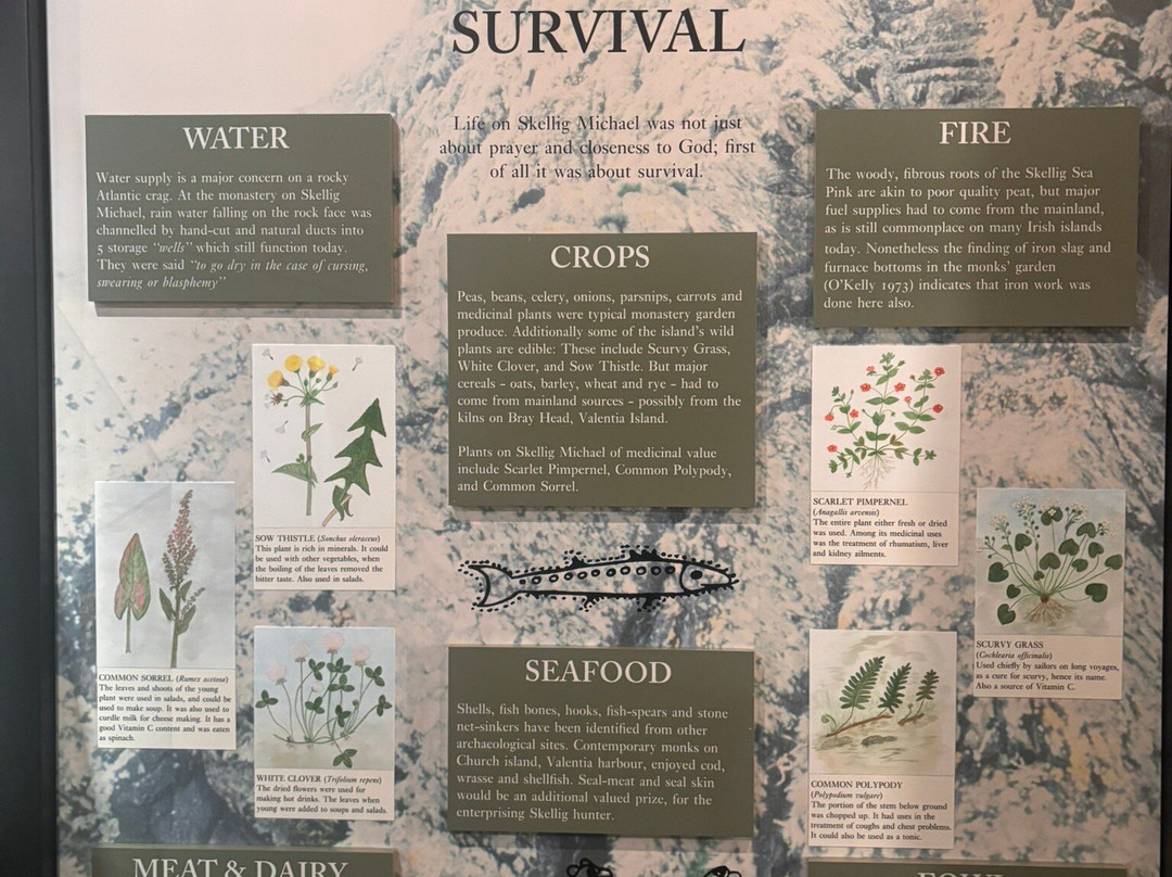 The Skellig Experience Visitor Centre-凯里郡必去景点