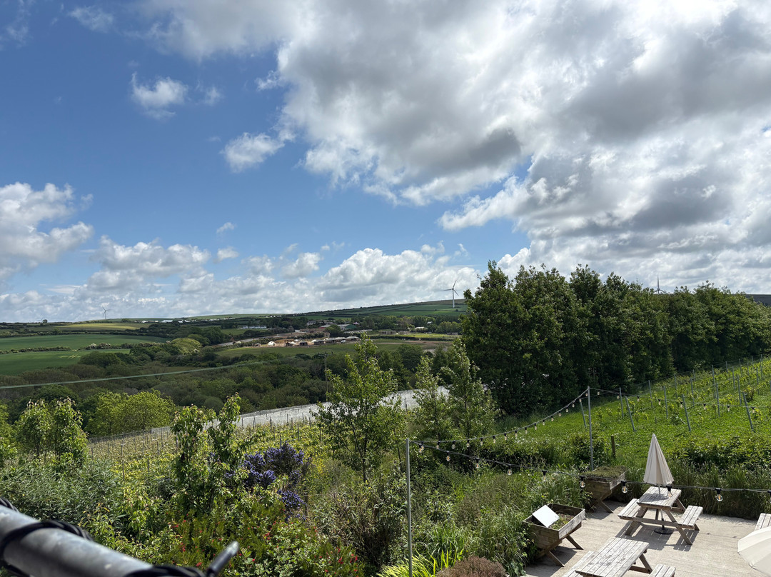 Trevibban Mill Vineyard & Orchard-Wadebridge必去景点