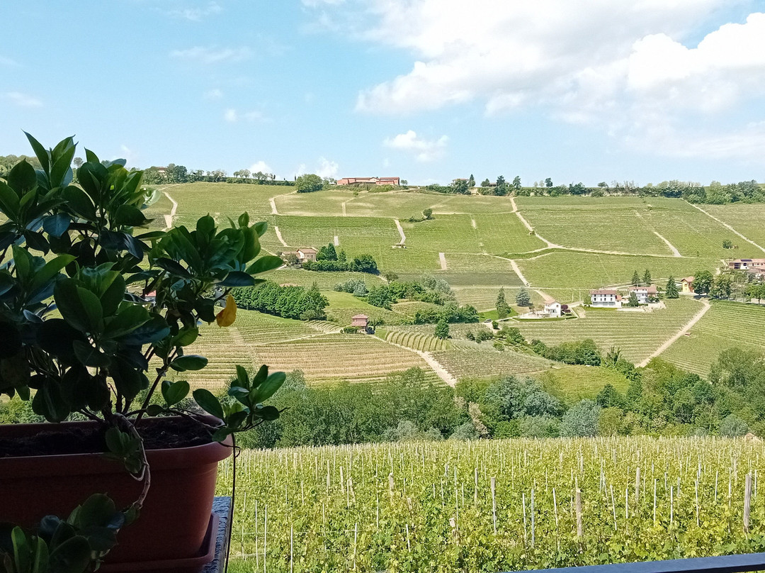 Azienda Agricola Gomba Cascina Boschetti-巴罗洛必去景点
