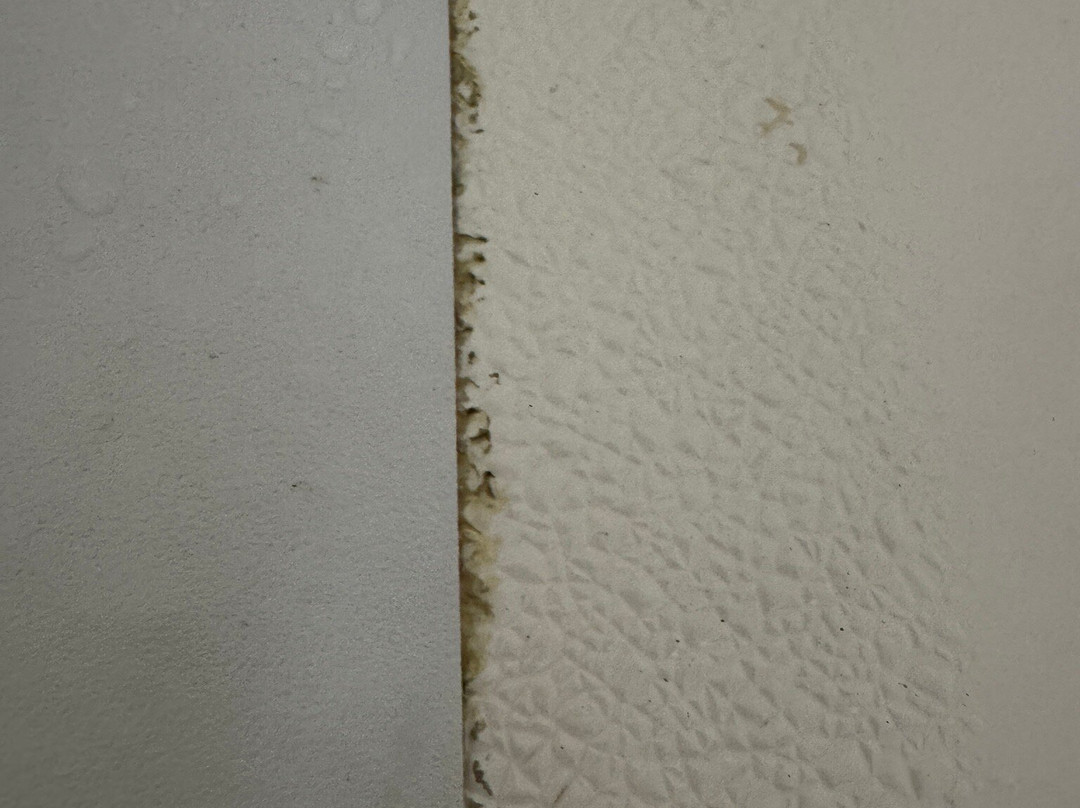 Best Western Logan Inn主图