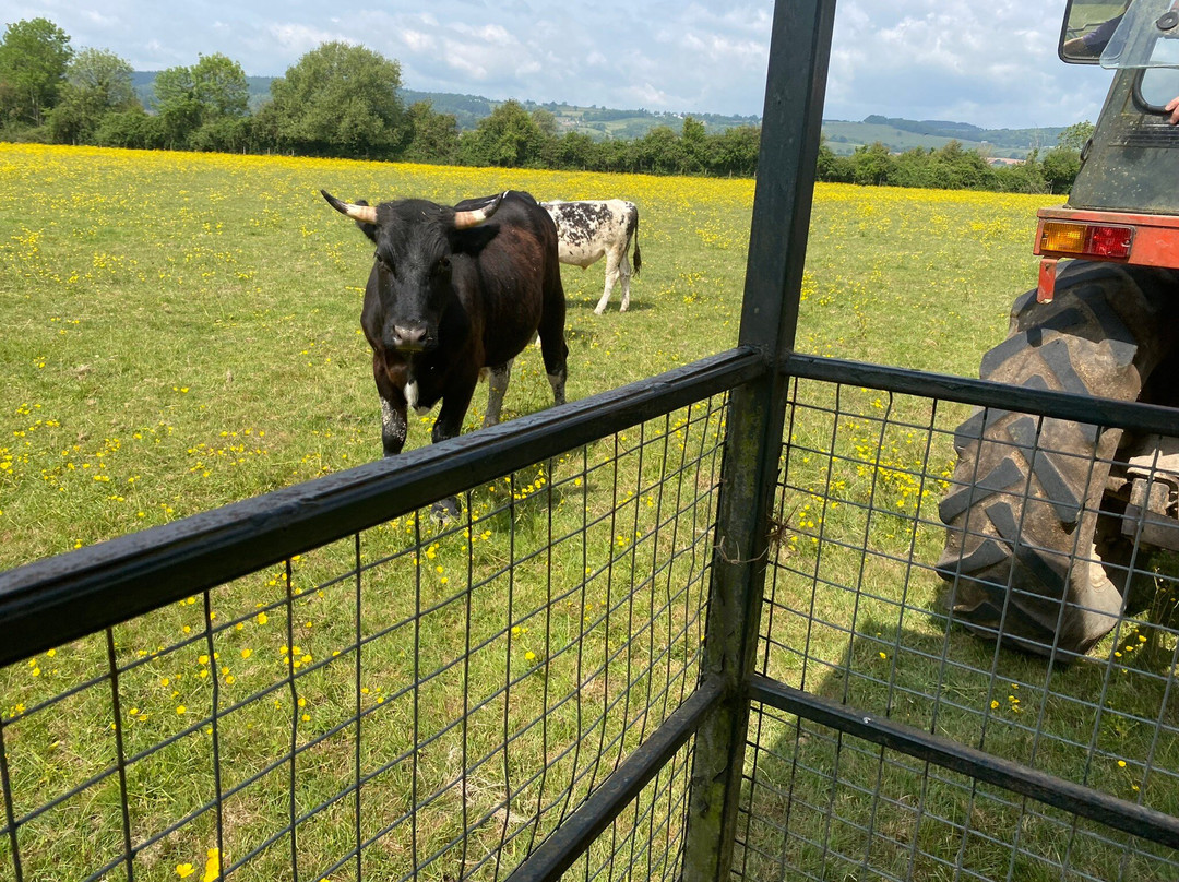 St Augustines Farm-Arlingham必去景点