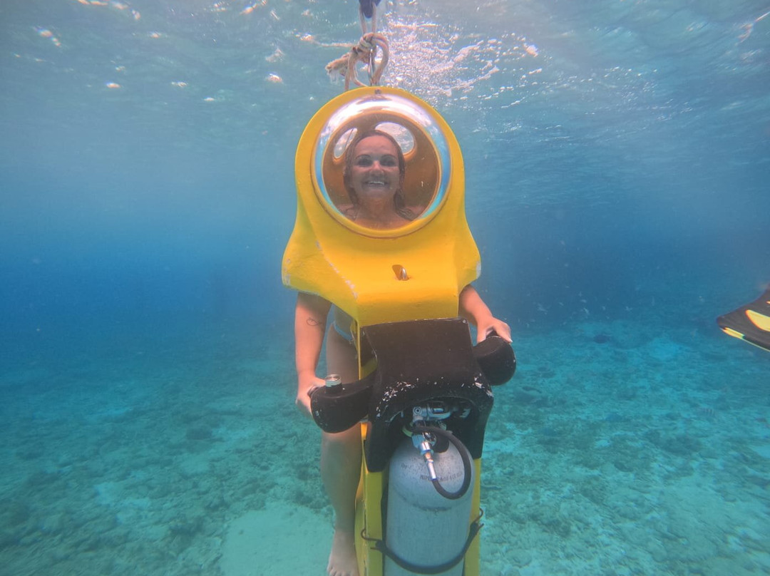 Aquafari-威廉斯塔德必去景点