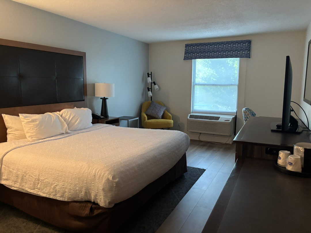 Hampton Inn Havelock主图