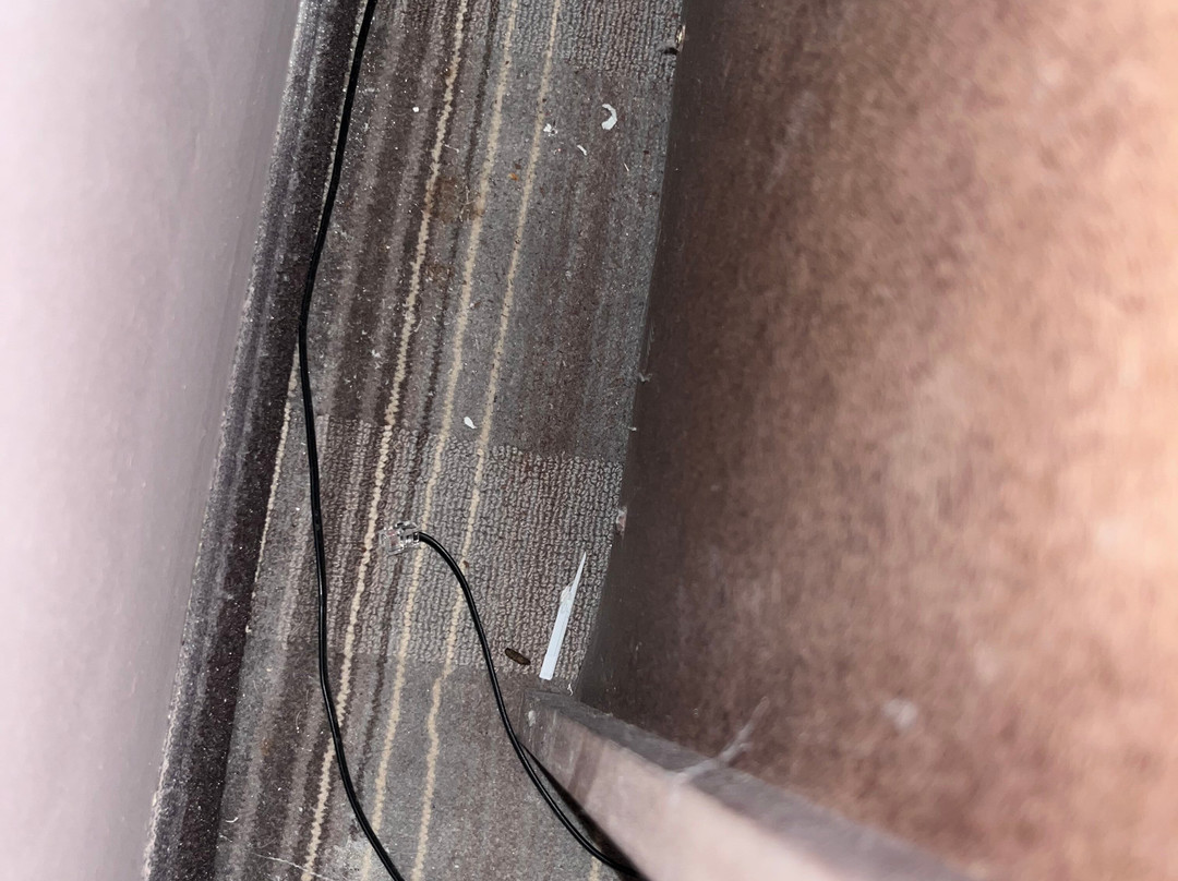 Best Western Plus Crawfordsville Hotel主图